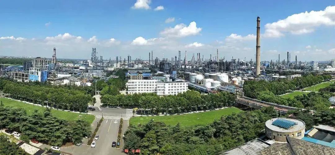 強鏈補鏈延鏈，展現新作為！